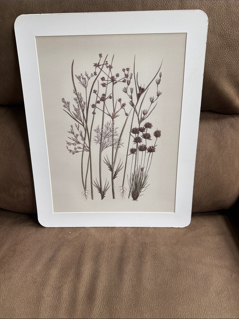Botanical Meadow Art Print in White Frame — Neutral Brown Tones
